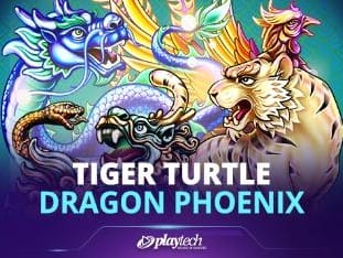 Tiger Turtle Dragon Phoenix game icon