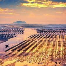 Mochtar Lubis avatar