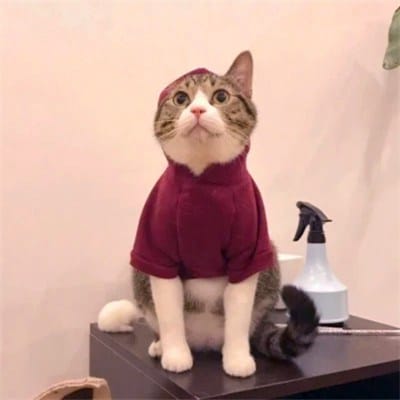 Prabowo Subianto avatar